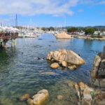 Dag 15 Monterey