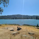 Dag 11 Bass Lake