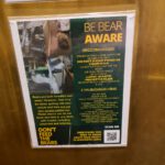 Be aware of the bear