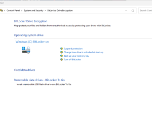 Preventing data loss after update